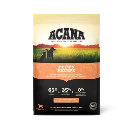 Puppy Recipe Dry Dog Food package