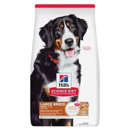 Adult Large Breed Lamb Meal & Brown Rice Recipe Dog Food package