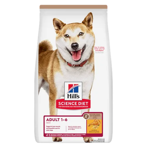 Adult No Corn, Wheat, Soy Chicken & Brown Rice Recipe Dog Food package