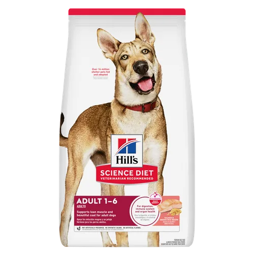 Adult Salmon & Brown Rice Recipe Dog Food package