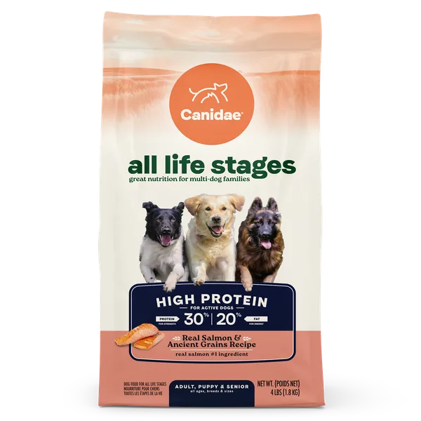 All Life Stages High Protein Dry Dog Food, Salmon & Ancient Grains Recipe package
