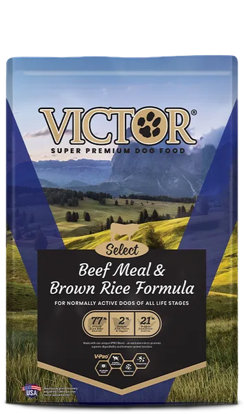 Beef Meal & Brown Rice Formula package