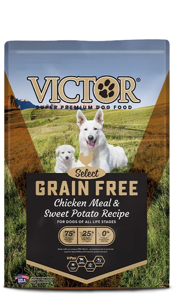 Grain Free Chicken Meal & Sweet Potato Recipe package
