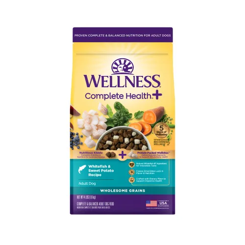 Wellness Complete Health + Whitefish & Sweet Potato package