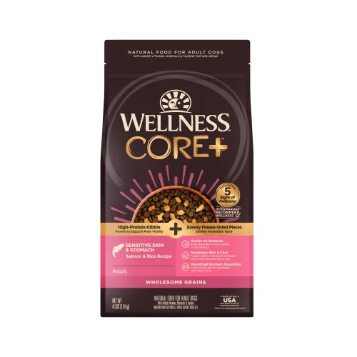 CORE+ Wholesome Grains Sensitive Skin Stomach Salmon & Rice package